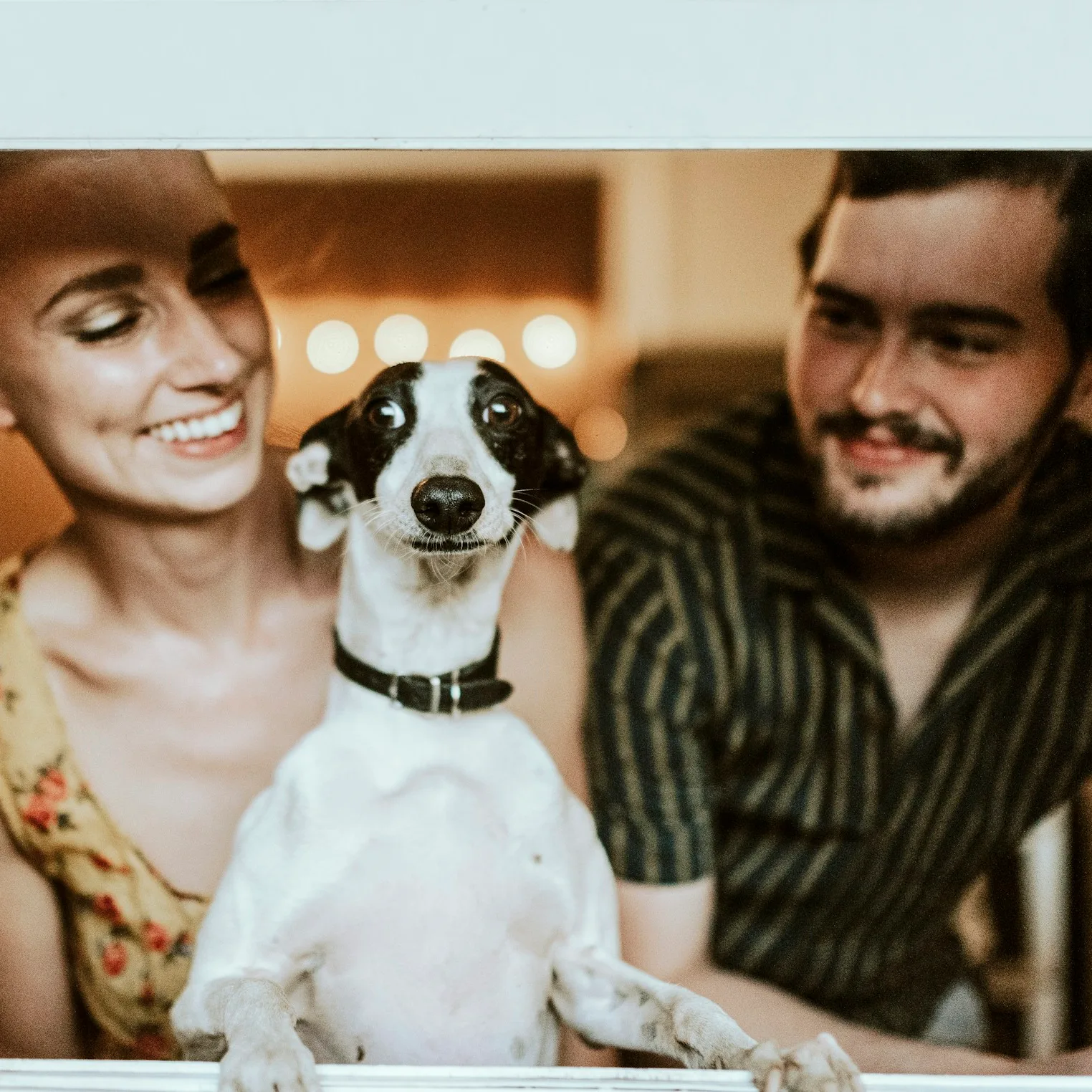 Un couple souriant avec leur jack russell entre eux