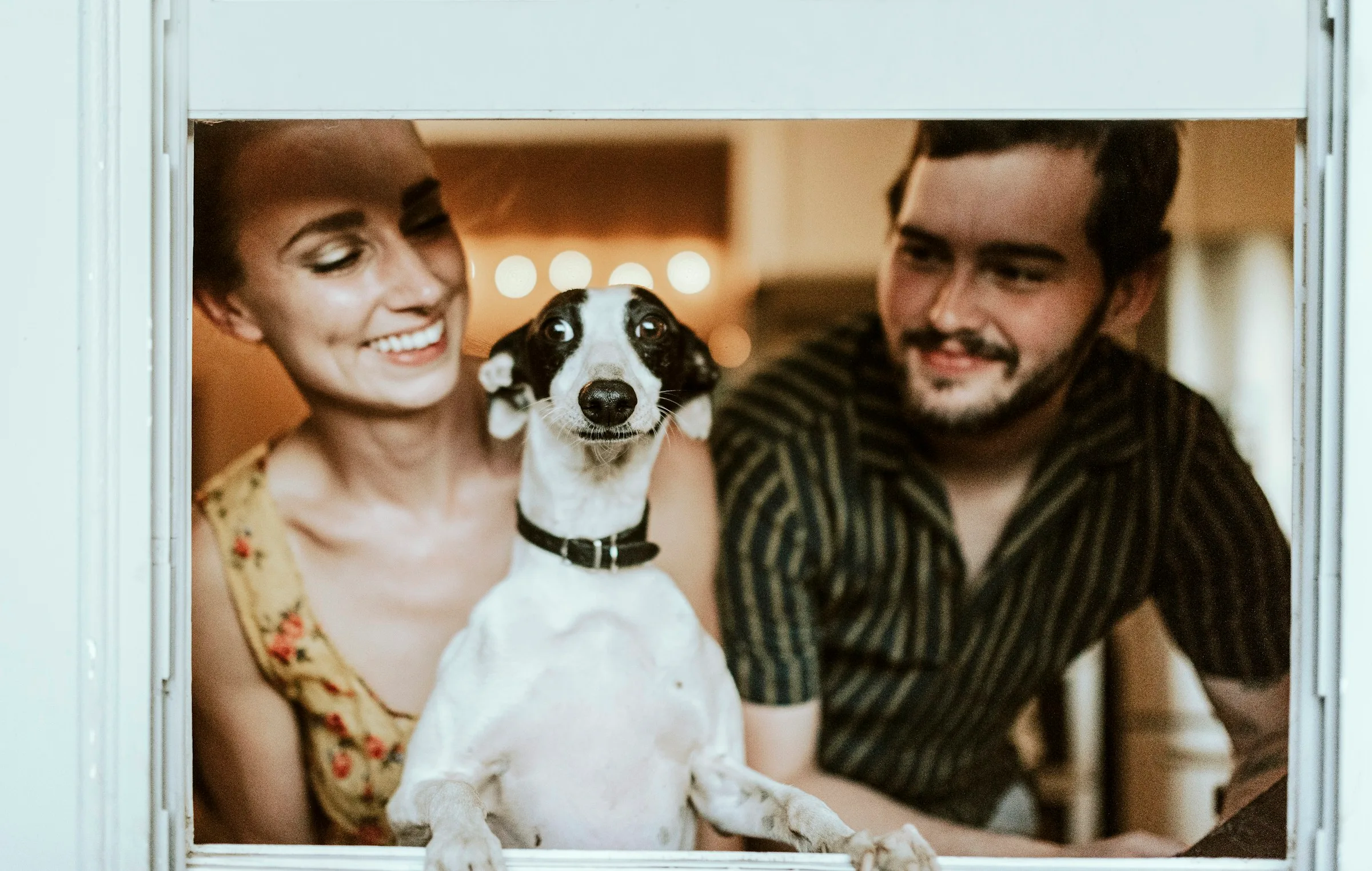 Un couple avec son jack russell
