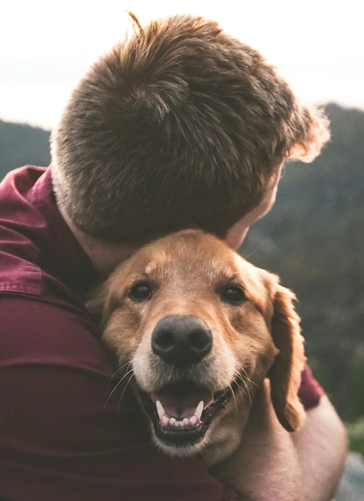 Un homme serre dans ses bras son chien, un golden retriever souriant